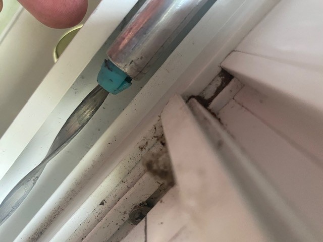 Blue Green tip